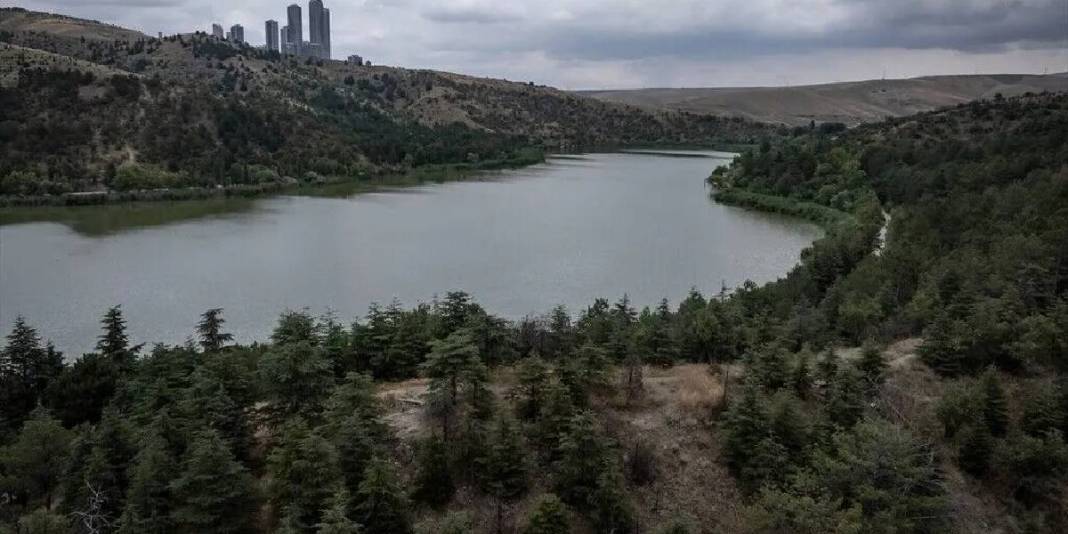 Ankaralıların doğaya kaçış adresi: Eymir Gölü doğal yaşamıyla kentin vazgeçilmezi 3